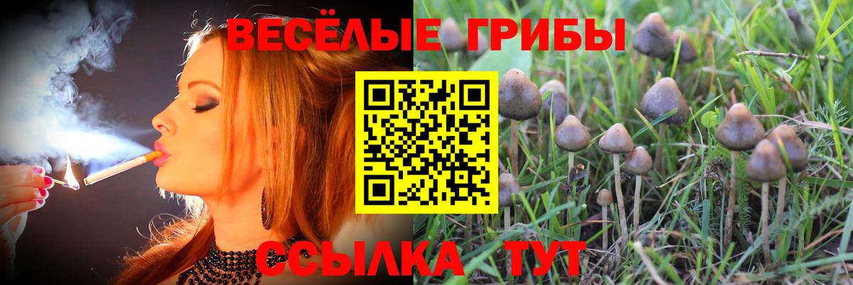 Галлюциногенные грибы мицелий  купить наркоту  Ачинск  Вход с VPN 